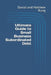 Ultimate Guide to Small Business Subordinated Debt by Daniel And Matthew Rung