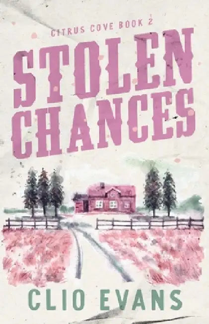 Stolen Chances: A Single Mom, MMF, Small Town Romance Suspense by Clio Evans