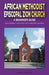 African Methodist Episcopal Zion Church: A Beginner's Guide: Discovering the Legacy of a Historic Church by Donnell Bradford