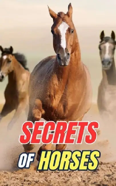 Secrets of Horses: Discover the Mysteries and Wonders of the Equine World by VC Brothers