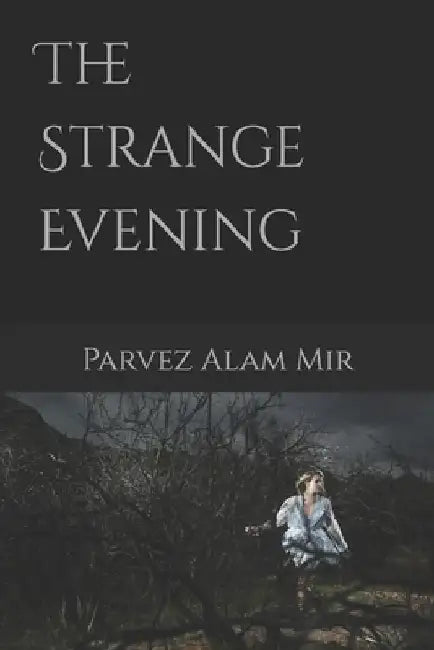The Strange Evening by Parvez Alam Mir