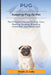 Pug: The Complete Manual for Pug: Care, Feeding, Housing, Breeding, Interaction, and Health Care by Steph Orlly Lolly