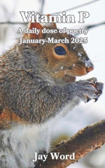 Vitamin P Book 1: A daily dose of poetry January-March 2025 by Christin O