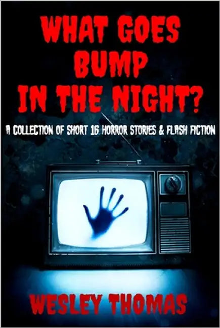 What Goes Bump in the Night?: A Collection of 16 Short Horror Stories & Flash Fiction by Thomas, Wesley