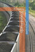 Fossil Fuels: A History by David Schmidt