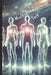 The Multidimensional Self: Exploring the Soul, Reincarnation, and Probable Realities by Pete Cossaboon