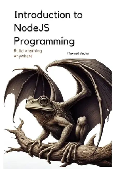 Introduction to NodeJS Programming: A Comprehensive Introduction by Maxwell Vector