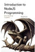 Introduction to NodeJS Programming: A Comprehensive Introduction by Maxwell Vector