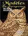 Modèles de Pyrogravure: Motifs Détaillés d'Animaux Sauvages pour Art sur Bois (PDF Inclus) by Greta, Falkenstein