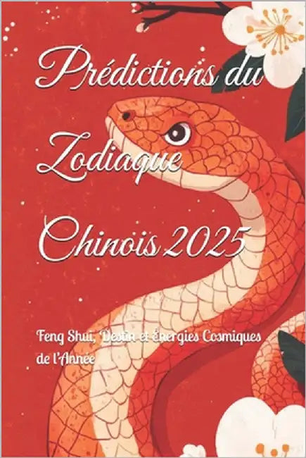 Prédictions du Zodiaque Chinois 2025: Feng Shui, Destin et Énergies Cosmiques de l'Année by Abilullin, Amir Khalilov