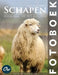 Schapen: Fotoboek by A. Arelt, Our World