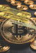 Cryptocurrency Chronicles: A Beginner's Adventure into Digital Wealth by David Holman