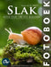 Slak: Fotoboek by A. Arelt, Our World