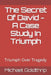 The Secret Of David  A Case Study In Triumph
