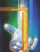 Microsoft PowerPoint 2024 EXCEPTIONALLY SIMPLE: Training Book with Many Exercises by Peter Schiessl