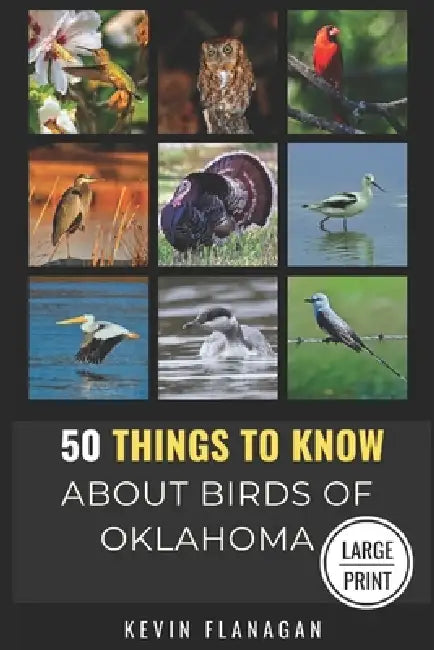 50 Things to Know About Birds in Oklahoma Large Print: Birding in the Oklahoma by 50 Things to Know, Kevin Flanagan