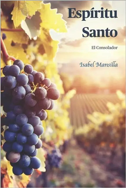 Espíritu Santo: El Consolador by Schwank, Johann