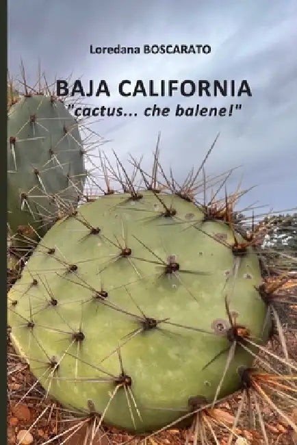 BAJA CALIFORNIA, cactus... che balene! by Loredana Boscarato