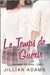 Le Temps de Guérir: Une romance douce pour jeunes adultes by Shadow, Scribe