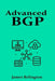 Advanced BGP: Route Engineering and Traffic Policies by James Relington