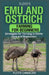 Floyd's Emu and Ostrich Farming for Beginners: Strategies for Thriving in Ratite Care and Production by Floyd Camacho