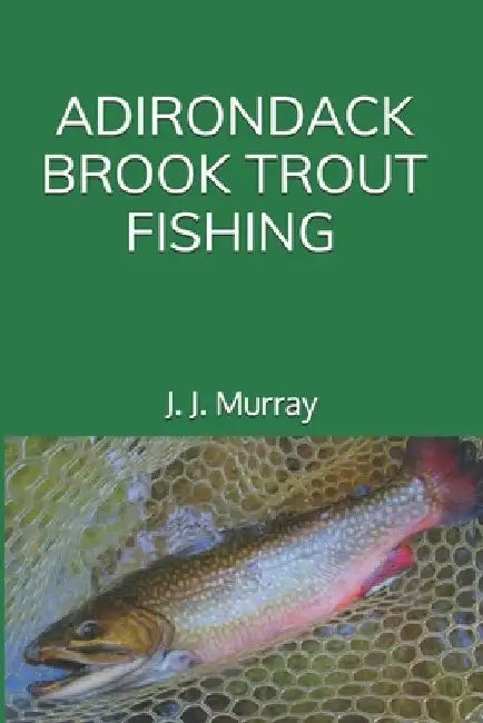 Adirondack Brook Trout Fishing by J. J. Murray