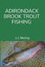Adirondack Brook Trout Fishing by J. J. Murray