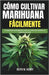 Cómo Cultivar Marihuana Fácilmente: Una guía para principiantes sobre el cultivo de cannabis en interior y exterior by M. Henry, Keith