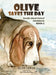 Olive Saves the Day: Amelia Island Animal Adventures Book 2 by Becky Lanier, Julie Peterson-Shea