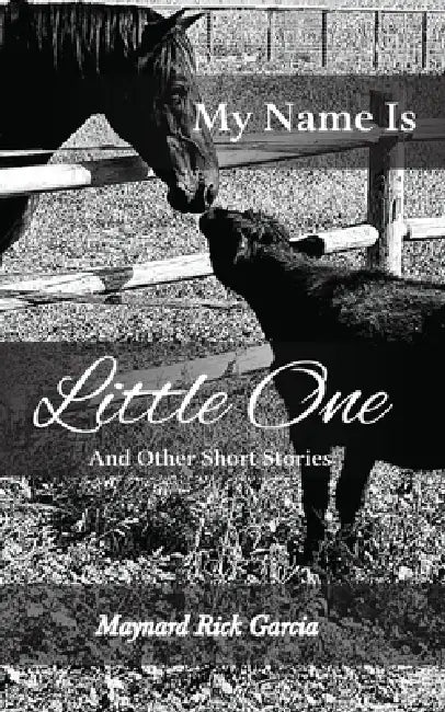 My Name Is Little One: And Other Short Stories by Maynard Rick Garcia