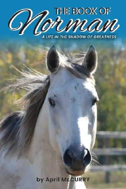 The Book of Norman: A life in the shadow of greatness. by April McCurry