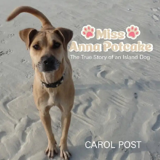 Miss Anna Potcake: The True Story of an Island Dog by Carol Post