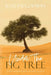 Under the Fig Tree: God's Faithfulness in Every Season by Katlyn Godwin