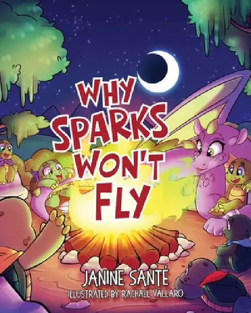 Why Sparks Won't Fly by Janine Santé
