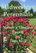 Midwest Perennials: Nature's Timeless Beauty in Your Yard by Robert M. Gullberg