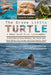 The Brave Little Turtle: A Story About Ocean Conservation: A Heartwarming Ocean Adventure That Teaches Kids About Marine Life, Courage, And Protecting by Lena O. Carter