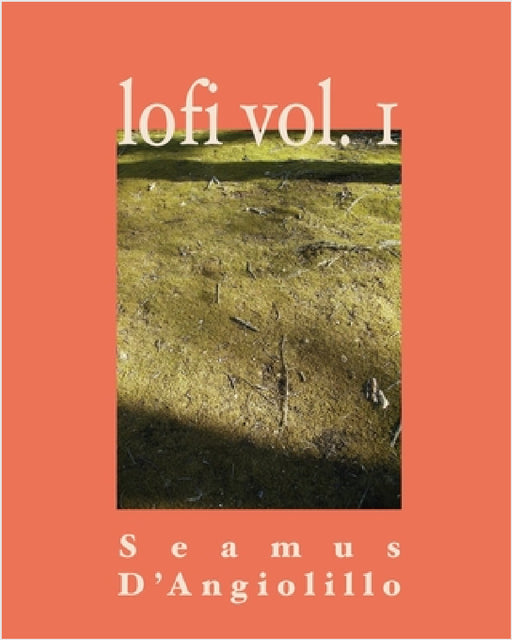 Lofi Volume 1 by Seamus D'Angiolillo