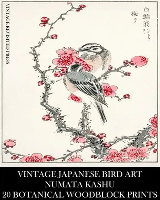 Vintage Japanese Bird Art: Numata Kashu: 20 Botanical Woodblock Prints: Ornithology Ephemera for Collage, Junk Journals, Framing and Decoupage by Press, Vintage Revisited
