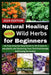Natural Healing with Wild Herbs for Beginners: An Easy Step-by-Step Guide to 35 Simple to use plants and Nurturing Your First Homemade Well-being Reme by Ella Preston