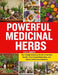Powerful Medicinal Herbs: Your Comprehensive Guide to Holistic Health, Plant-based Remedies, and Natural Wellness Solutions by Alex K. Murphy