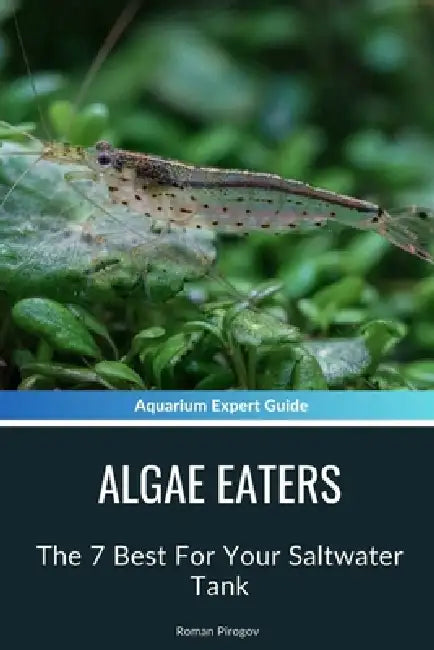 Algae Eaters: The 7 Best For Your Saltwater Tank by Roman Pirogov