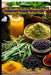 The Complete Guide to Medicinal Herbs: Harnessing Nature's Healing Power by Shannon Porter