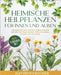 Heimische Heilpflanzen für innen und außen: Heilkräuter und Nutzpflanzen einfach erklärt mit praktischen Tipps zu Anbau, Pflege und Nutzung by Naturheilbücher