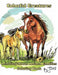 Colorful Creatures: Learning about Animal Families Coloring Book by Jdg