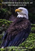 Haikus for Bald Eagles III: Decorah Eagles by Mayumi Itoh