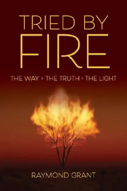 Tried by Fire: The Way - The Truth - The Light by Raymond Grant
