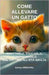 Come allevare un gatto: adottarlo, educarlo, comprenderlo dal gattino all'età adulta: Adozione di gatti, Gattini, Educare gattino, Comportamen by Airduval, Aurny