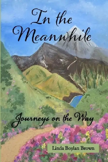 In the Meanwhile: Journeys on the Way by Linda Boylan Brown