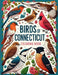 Birds of Connecticut Coloring Book by Jon Martin