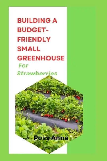 Building A Budget-Friendly Small Greenhouse For Strawberries by Poss Anna